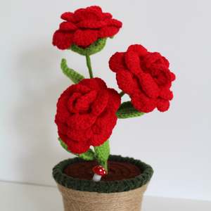 Eternal Rose - Forever Bloom Collection