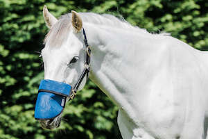 FLAIR SOLA SHADE NOSE GUARD