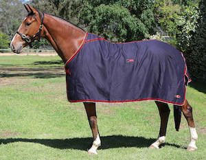 Rugs: Zilco Show Circuit Rug