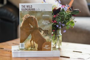 The Wild Kaimanawa Field Guide 2025