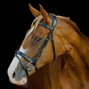 Horse: Platinum Signature Classic Bridle