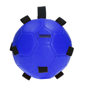 Horse: Maximus Fun Play Balls