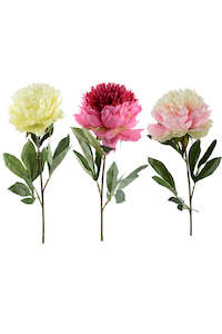 Artifical Flowers: Silk Large Peony - Box 12 + 48