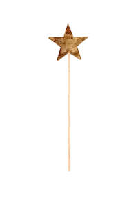 Accessories: SECONDS: Birch Star Pick (Unit 1 + 3)