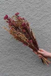 Dried Flowers: Berry Fields Assorted Dried Floral Bunch (unit 4+ 24)