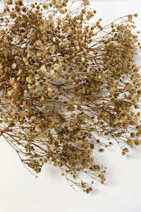 Dried Flowers: Dried Gypsophila Bunch (unit 5 + 15)