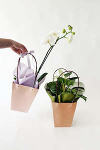 Packaging: Kraft Carry Bags PK10 (unit 1)