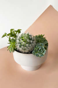 Collective Design: Parlour Porcelain Planter (Unit 4 + 36)