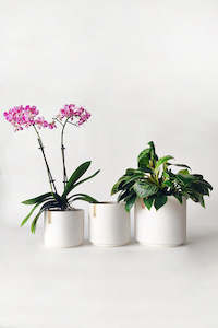 Planters: PRE-ORDER: Stella Ceramic Planter (unit 4 + 18)