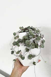 Geometric Ceramic Planter/Vase (unit 4 + 12)