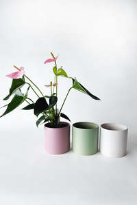 Willow Ceramic Cover Pot (unit 9)