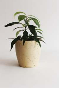Collective Design: Sand Dune Planter/Vase (Unit 4 +16)