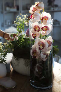 Moody Tones: Tall Cylinder Vase (Unit of 3 + 12)