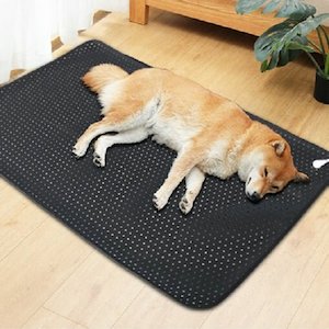 Earthing Pet Mat for Dogs - Connects Your Beloved Pet to the Earth for Healing a&hellip;