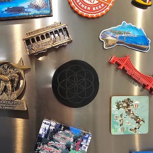 Shungite Healing And Protection Shungite Nz: Large 70mm Shungite Laptop Sticker/Device Sticker - Seme della Vita (Seed of Life)