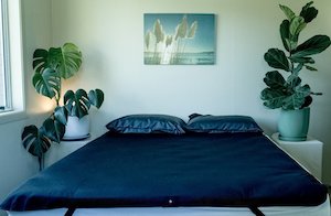 Queen Earthing Mat + Two Pillow Covers - Save $70 on Your Wellness Bundle