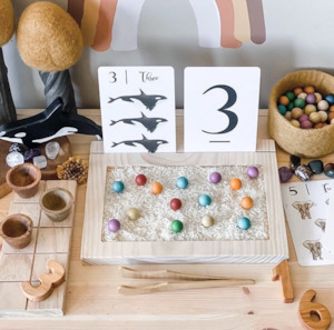 SALE: Tracing Tray