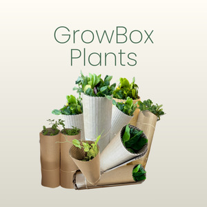 Subscription Box: Plants + App Access