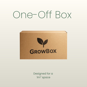 Medium Seasonal Box 'One-Off'