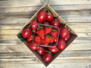 avocado: 4kg Tamarillo Box - Field grade