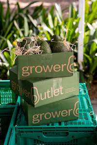 9 Extra Large Avocados - Prepaid Gift Subscription