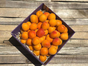Frontpage: 2KG Apricots - URBAN ONLY