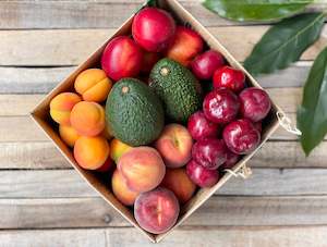 Frontpage: 4kg Summer Stone Fruit Box  + FREE Avocados - URBAN Only