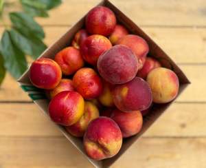 Frontpage: 4kg Peach and Nectarine Combo Box - URBAN ONLY