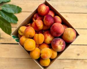 Frontpage: 4kg Nectarine and Apricot Combo Box - URBAN ONLY