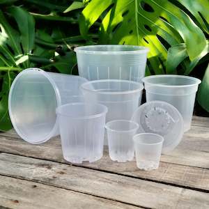 Clear Nursery Pot Sample Set