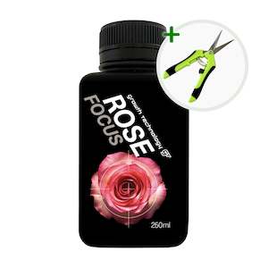 Special Deals: Rose Lovers Combo