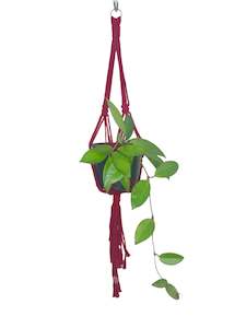 'Knotted' Macrame Plant Hanger
