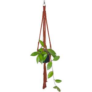 One Offs Reduced To Clear: 'Half Straight' Macrame Plant Hanger