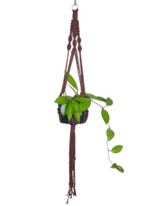 'Half n Half' Macrame Plant Hanger