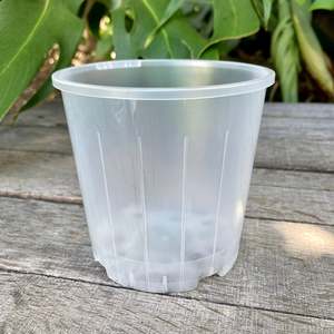 One Offs Reduced To Clear: Clear Nursery Pot 10cm SECONDS