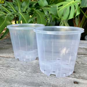 One Offs Reduced To Clear: Clear Nursery Pot 14cm SECONDS