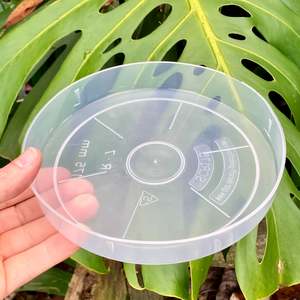 One Offs Reduced To Clear: Clear Pot Saucers 175mm SECONDS