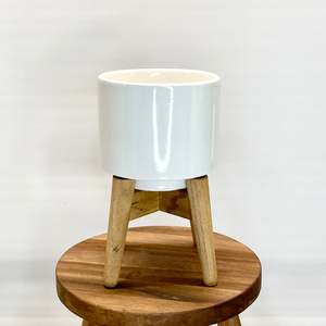 One Offs Reduced To Clear: White Pot with Stand