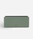 bench top baby | leafy green