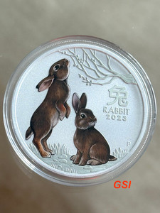 Products: 1 Oz Silver Coins - Colour Rabbit Perth Mint 2