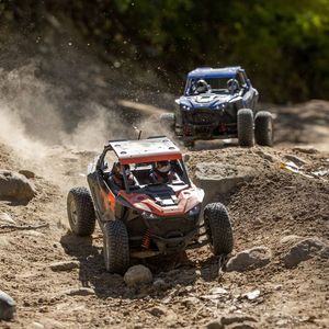 Monster Trucks: RZR Rey, 1/10 4WD Brushless RTR, Polaris by LOSI