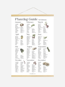 Printable Planting Guide Poster - NZ Edition (Digital Download)