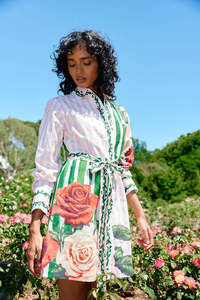 Aston Studio: Demi Dress - Leaf Rose Multi