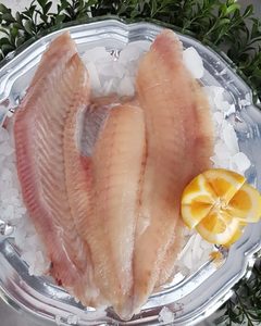 Turbot Fillet - Guytons