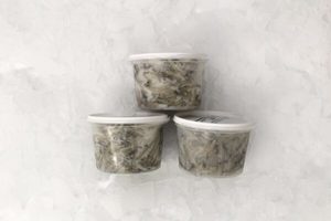 Products: 2025 West Coast Whitebait 250g - Frozen - Guytons