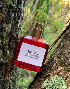 APRICITY Perfume Spray — Winter Warmth & Inner Hearth Redamancy