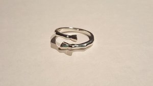 Products: Horse Leg and Hoof Ring
