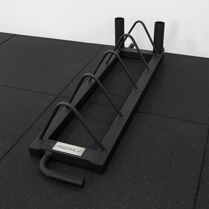 Dumbell Packages Storage: PRODIGY - Olympic Weight Plate Rack – Bumper Plate Storage Stand