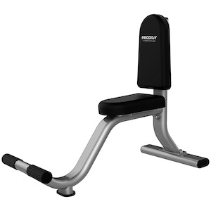 Commercial Equipment Prodigy X Series: Seated  Bench