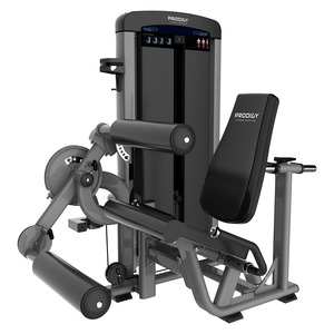 Commercial Gym Equipment Prodigy Elite Series: Leg Extension / Hamstring Curl
